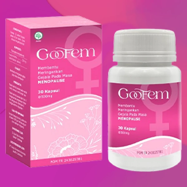 GOOFEM